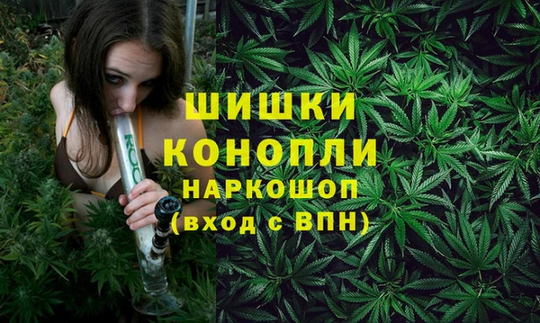 кокс Касимов