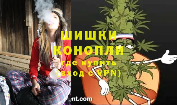 кокс Касимов