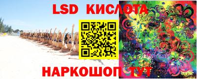 прущие грибы Апшеронск