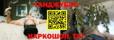 прущие грибы Апшеронск