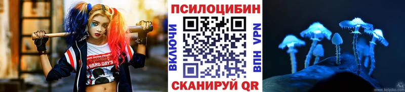 Галлюциногенные грибы MAGIC MUSHROOMS  kraken как войти  Семилуки 