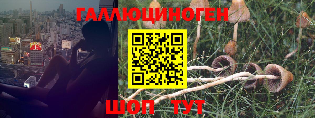 Псилоцибиновые грибы прущие грибы  Вход с VPN  Семилуки 